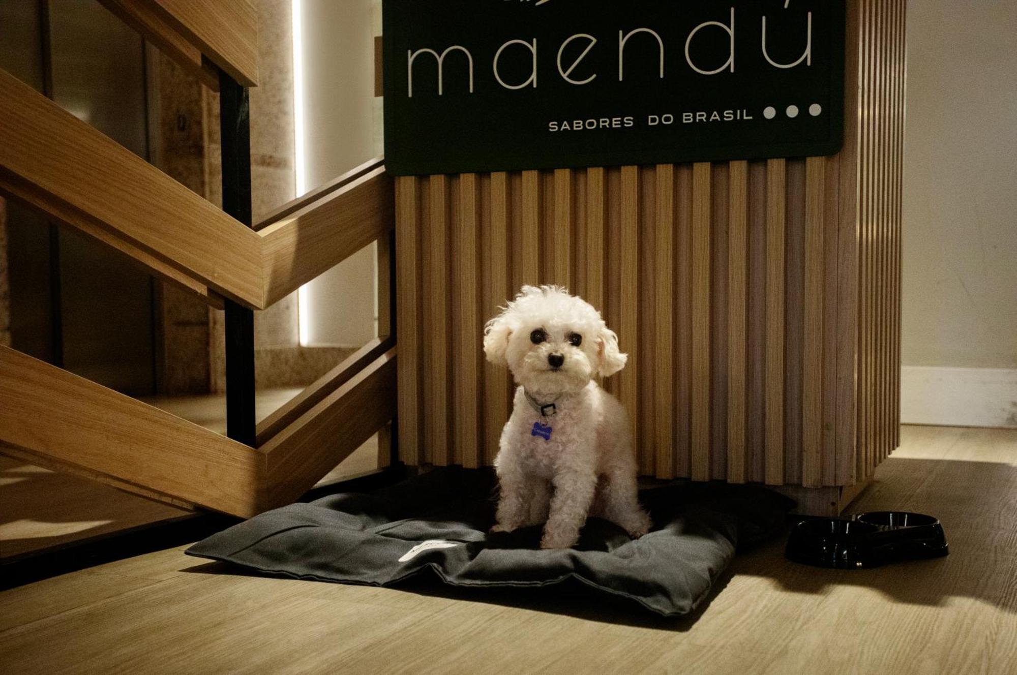 Mercure Maceio Pajucara エクステリア 写真